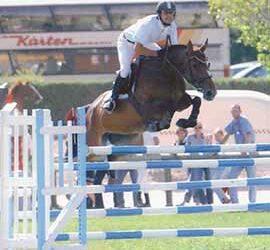 Centre Équestre Denicé