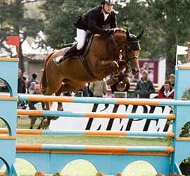 Centre Équestre Denicé