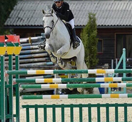 Centre Équestre Denicé