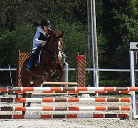 Centre Équestre Denicé