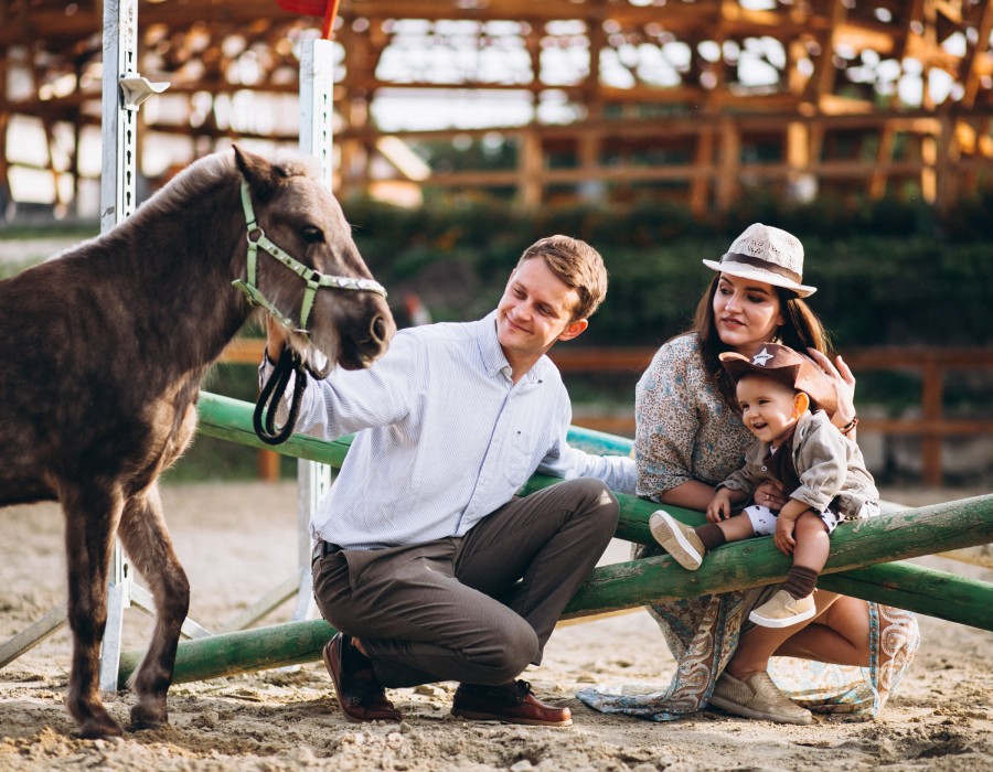 Famille découvrant un poney au centre équestre