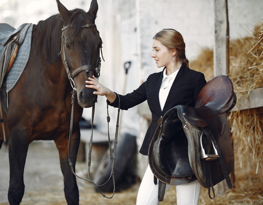 Cavalière préparant son cheval à l’écurie avant l’entraînement