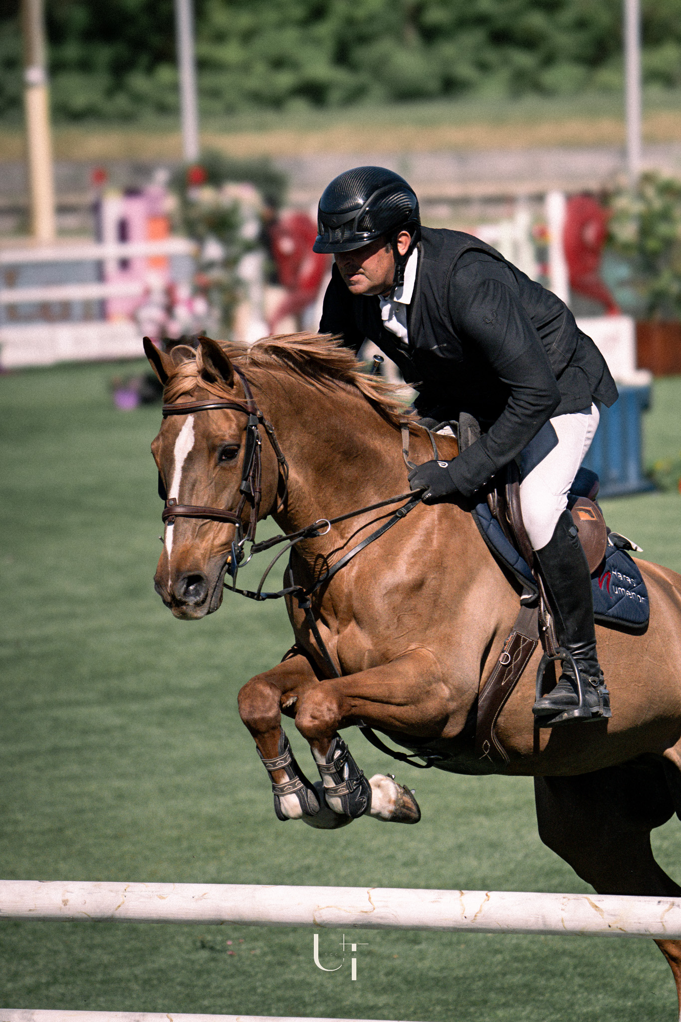 CENTRE EQUESTRE DE DENICE